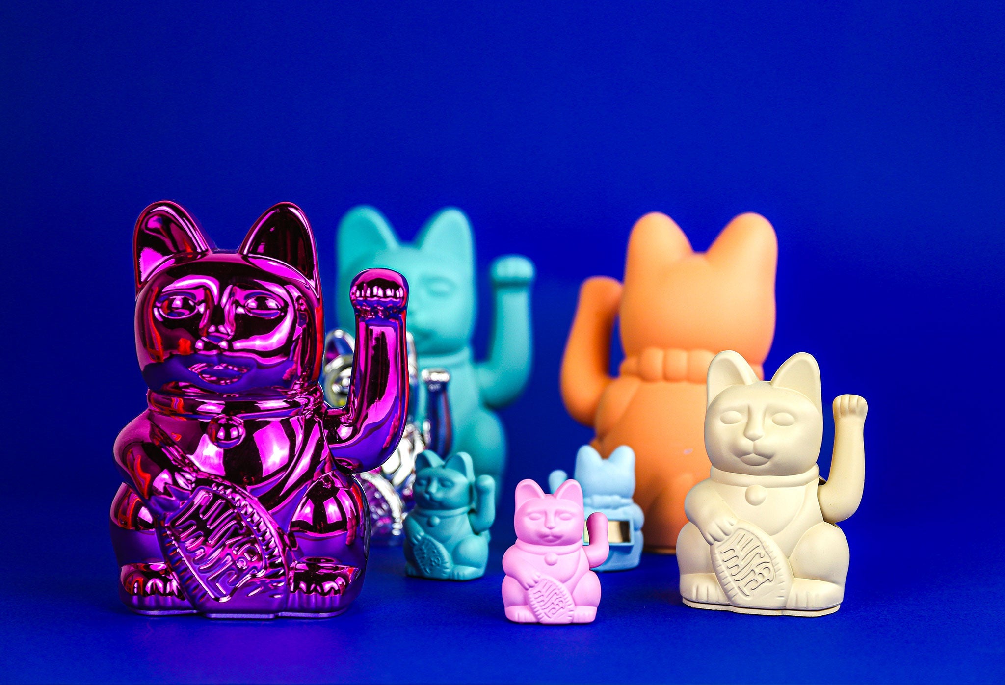 MYNEKO