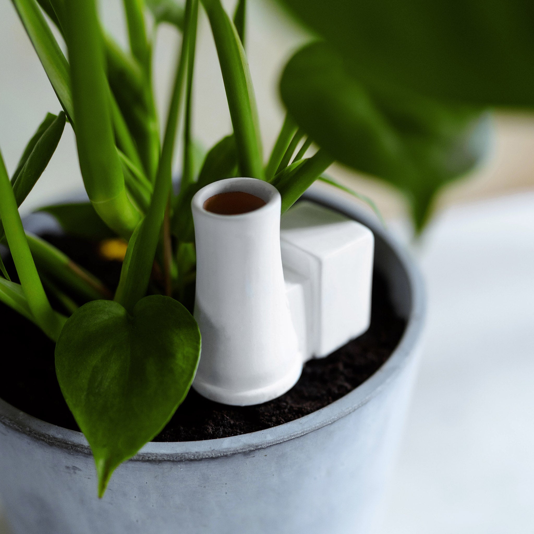 Plant Power Steam