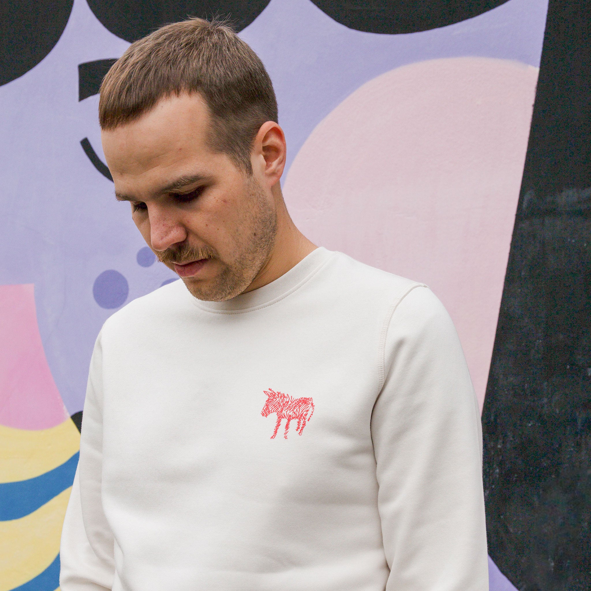 Sweatshirt Donkey